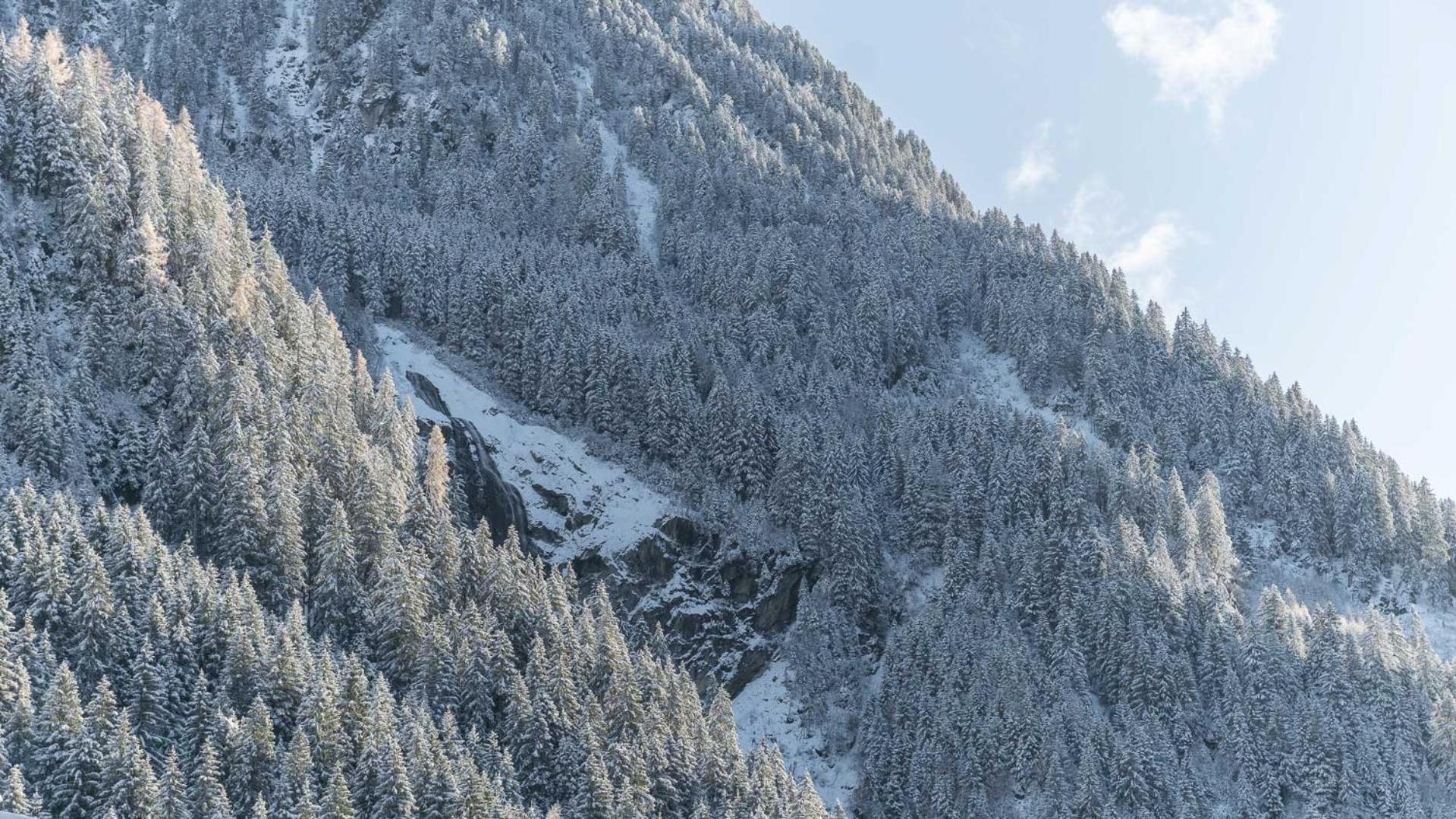 Haus Gleinser - Neustift Im Stubaital Exterior photo